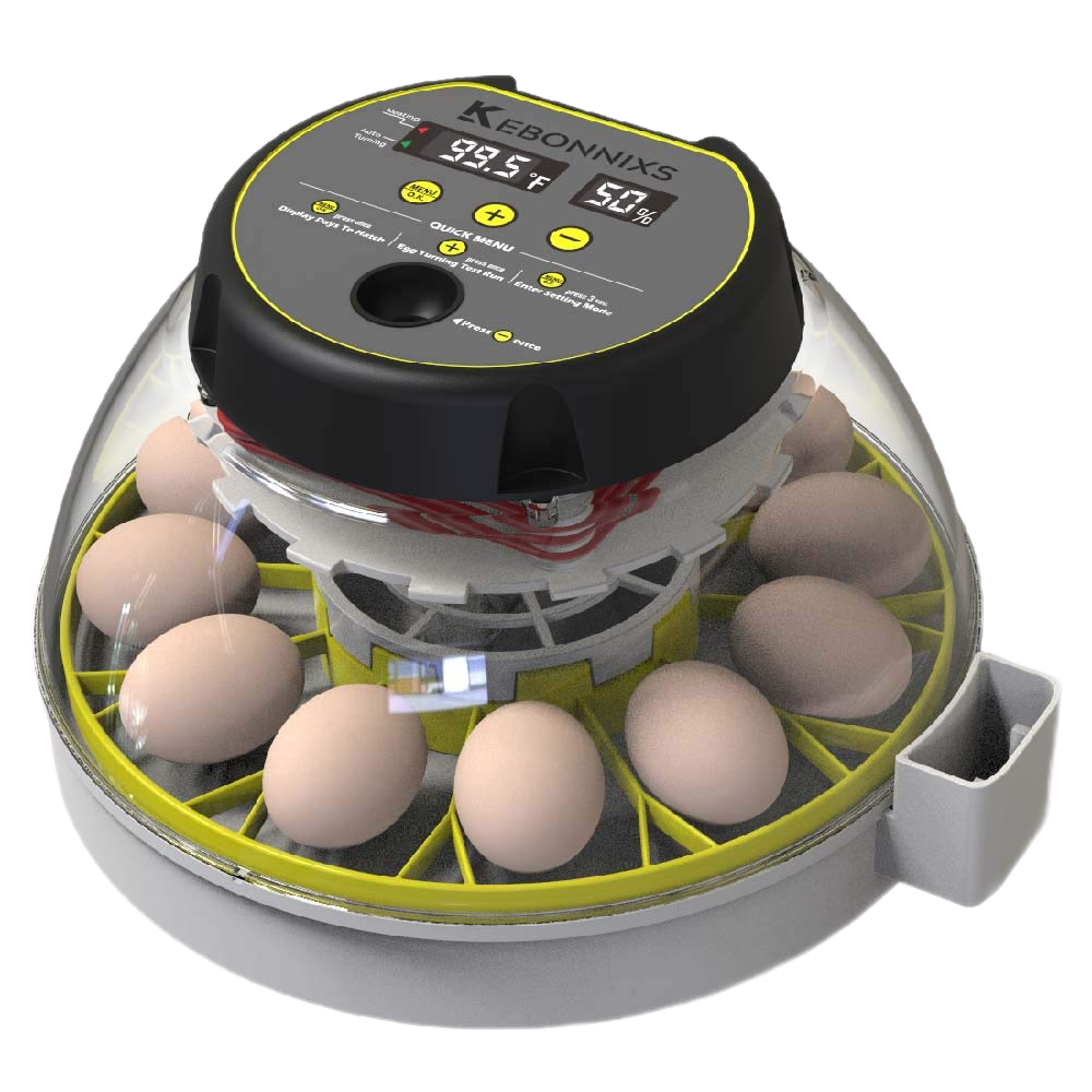 KEBONNIXS 12 Egg Incubator